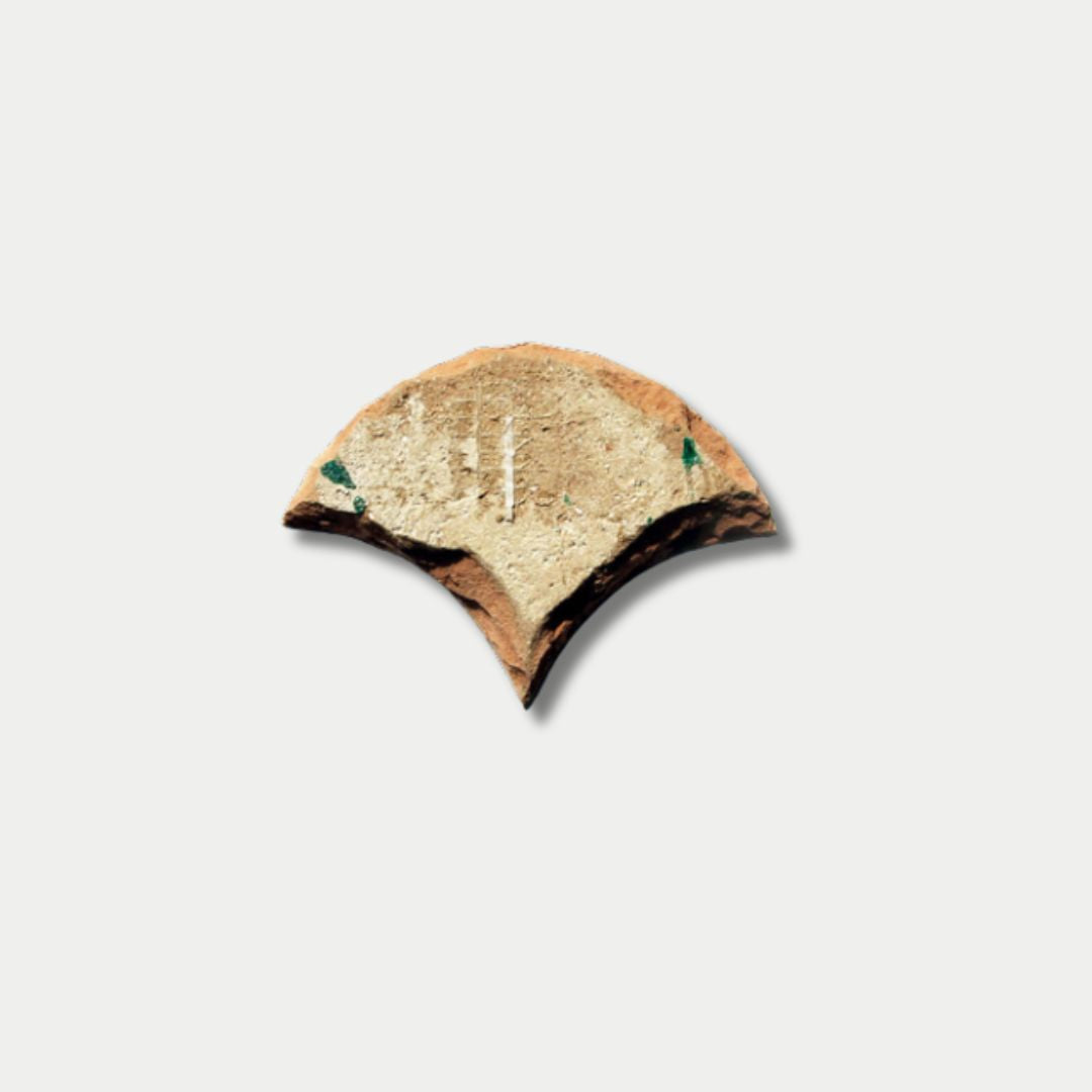 قشور السمك : زرقاء